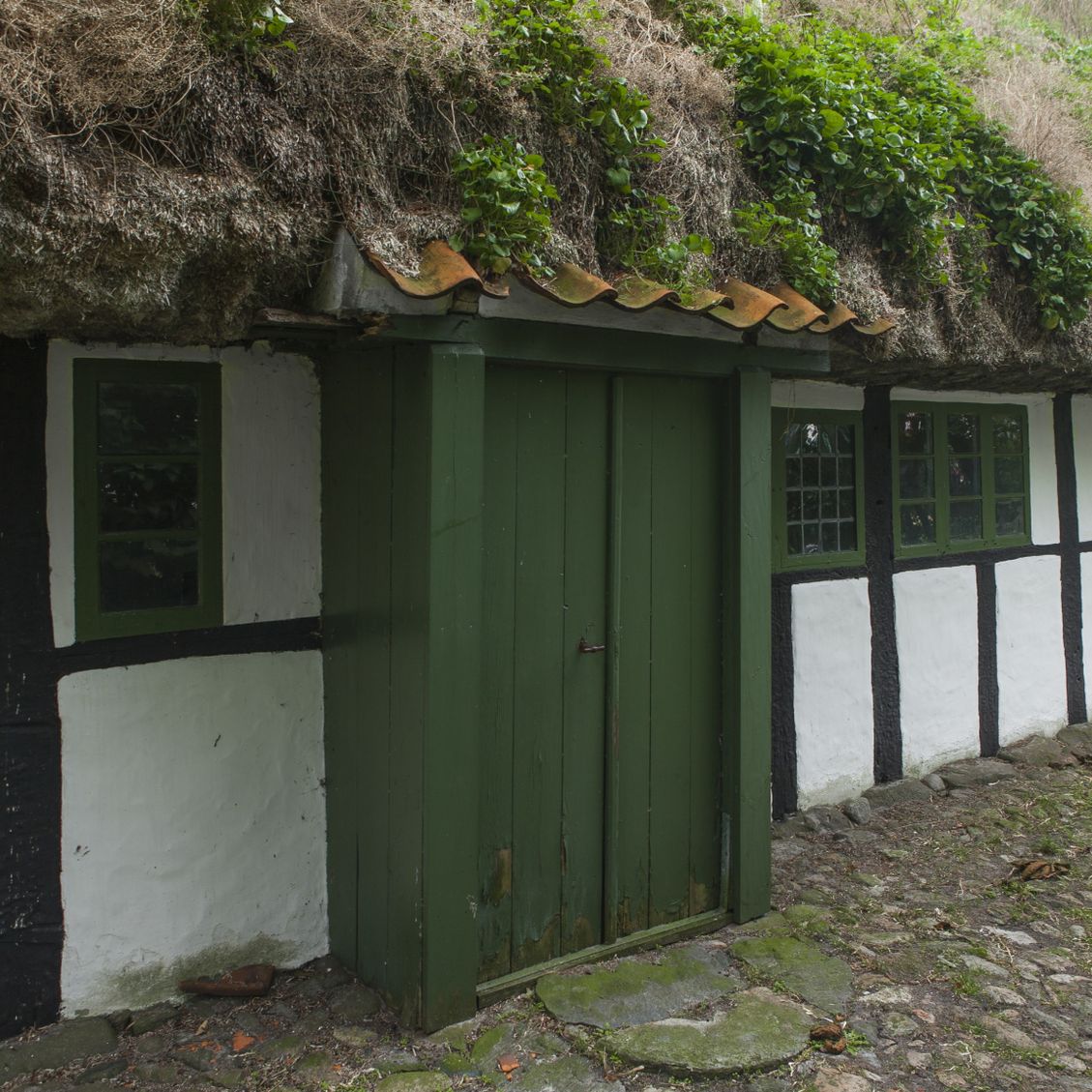 Bislaget på nordsiden af Museumsgården