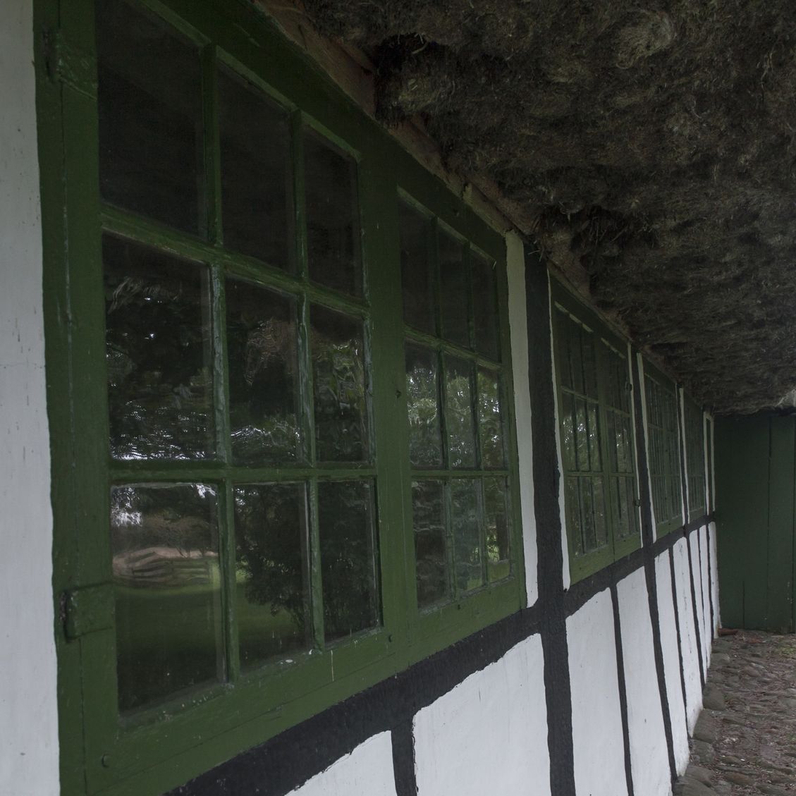 Nordsiden af Museumsgården